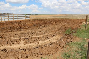 Horse Corral turned vegetable garden
