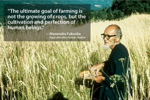 10601_487180694657031_1820229187_n