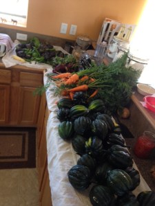 Squash and Such 2014