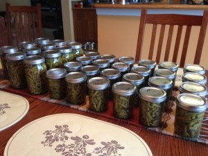 Canning Beans 2014