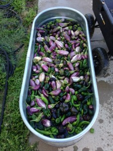 Cooling it down 2014