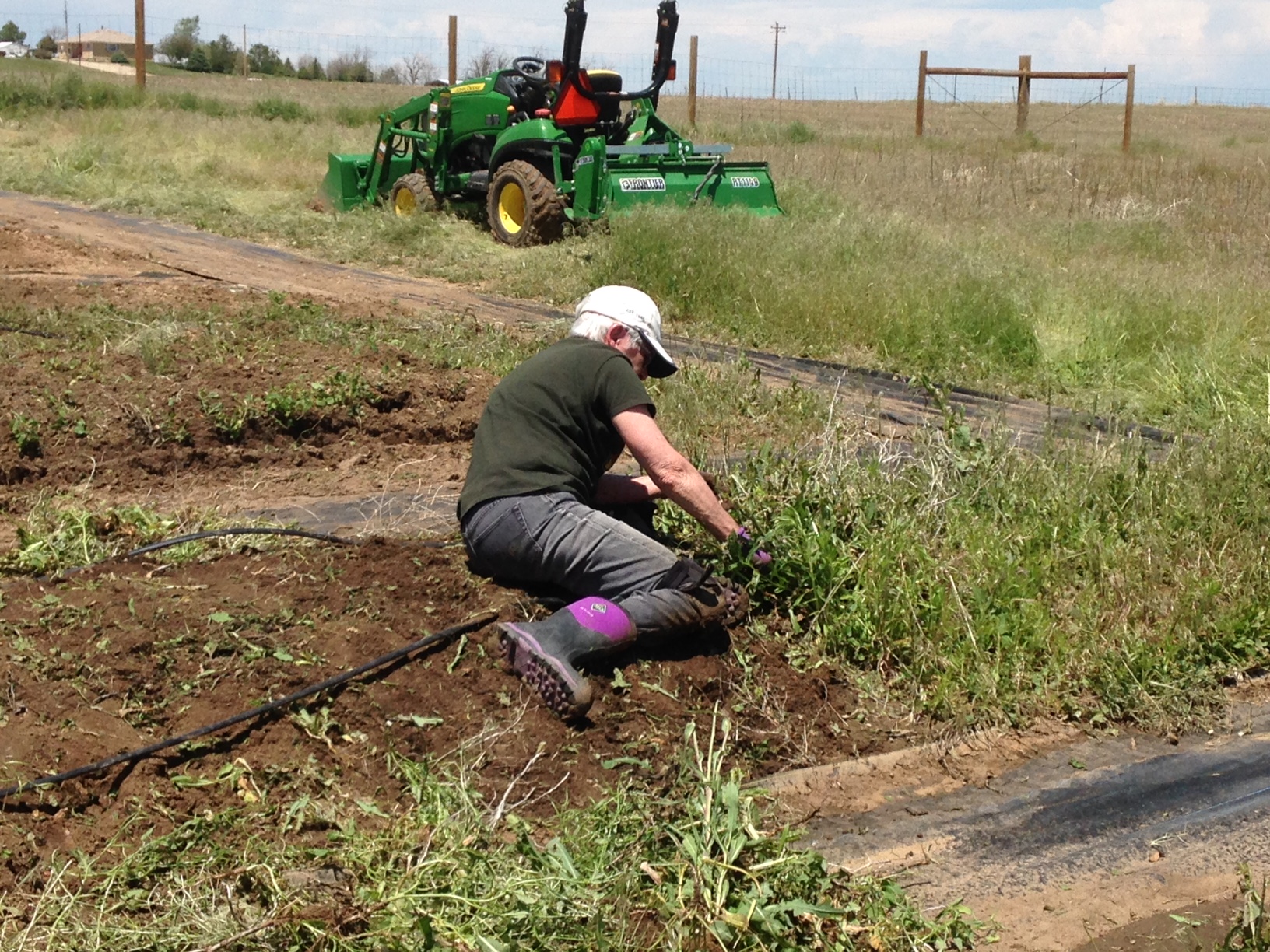 Grandma the weeding machine!