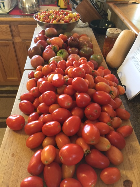 partial-mater-harvest-2016