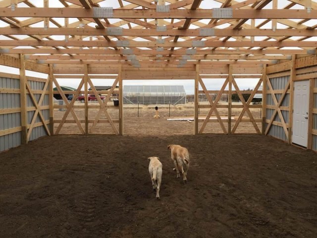 5E1A1BAE-0ABD-471E-A04F-3AA18AE81433