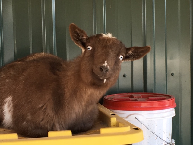 390A416B-327B-4ECC-82DC-ACCBFE122FFD