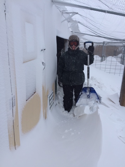 6A72751A-FD72-4A54-8214-503BA1F9656D