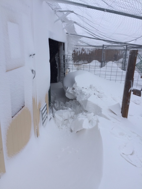 6D5189F9-C916-46B6-A646-92EDA7773DFF