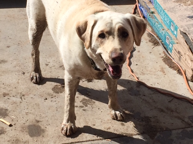 8BAFAB57-E66F-4EBC-8C1D-EF5E8EA32D34