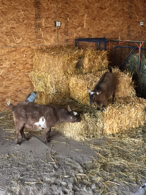 A9CE7D04-75D3-4769-A8D4-21B9790C5877