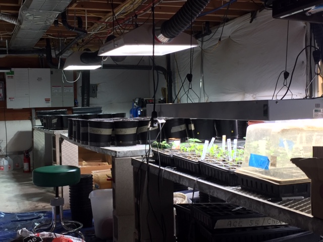 B7C78164-2A7D-4649-891A-80770547F035