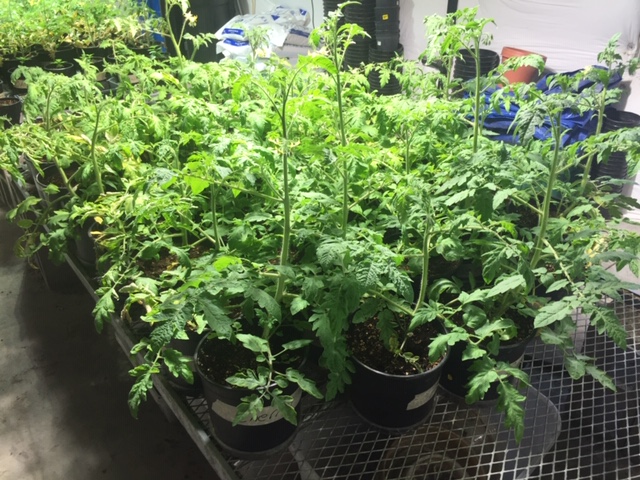 208010BF-1954-45A6-ADB5-9AC3E87CA87B