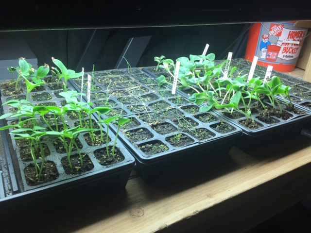 5D102FAC-D22A-4741-B65E-F1B0BCAA9597