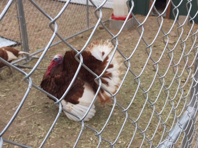 85A0E9F8-0992-431D-90CB-804600FA676B