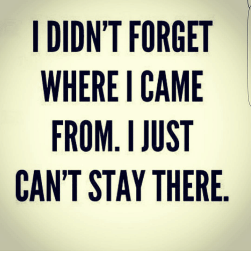 9062D18A-5318-4E7F-9F86-CCC936798AEA