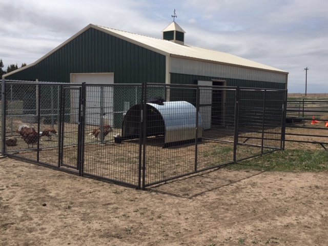 97A56C96-DE80-4BC4-A1A4-66C663B80E60