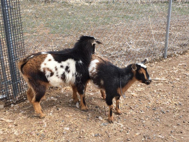 98E2B680-2547-4B4C-B273-CAD199DCA2E1