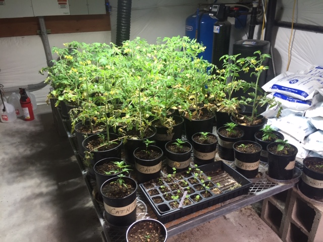 A21B7822-4390-4EF5-B5BA-73C6A3C84A47