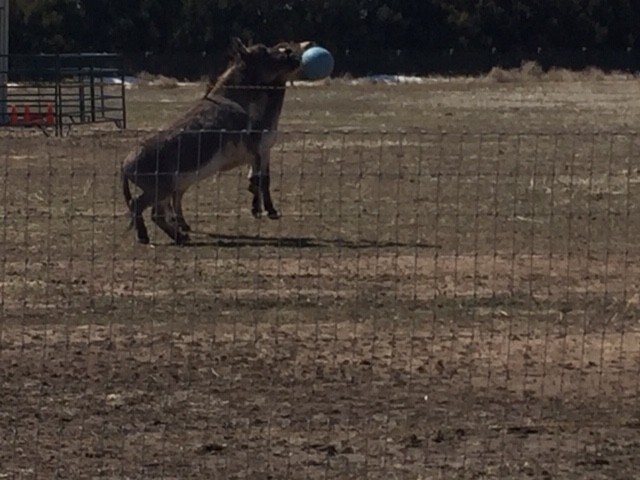 C9C215A6-2E62-452E-80E1-86E5A03F6D4C