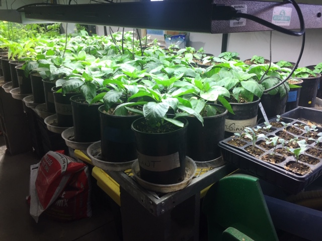 CF4B1C7E-D545-4816-9A3F-2FED7BCD3C71