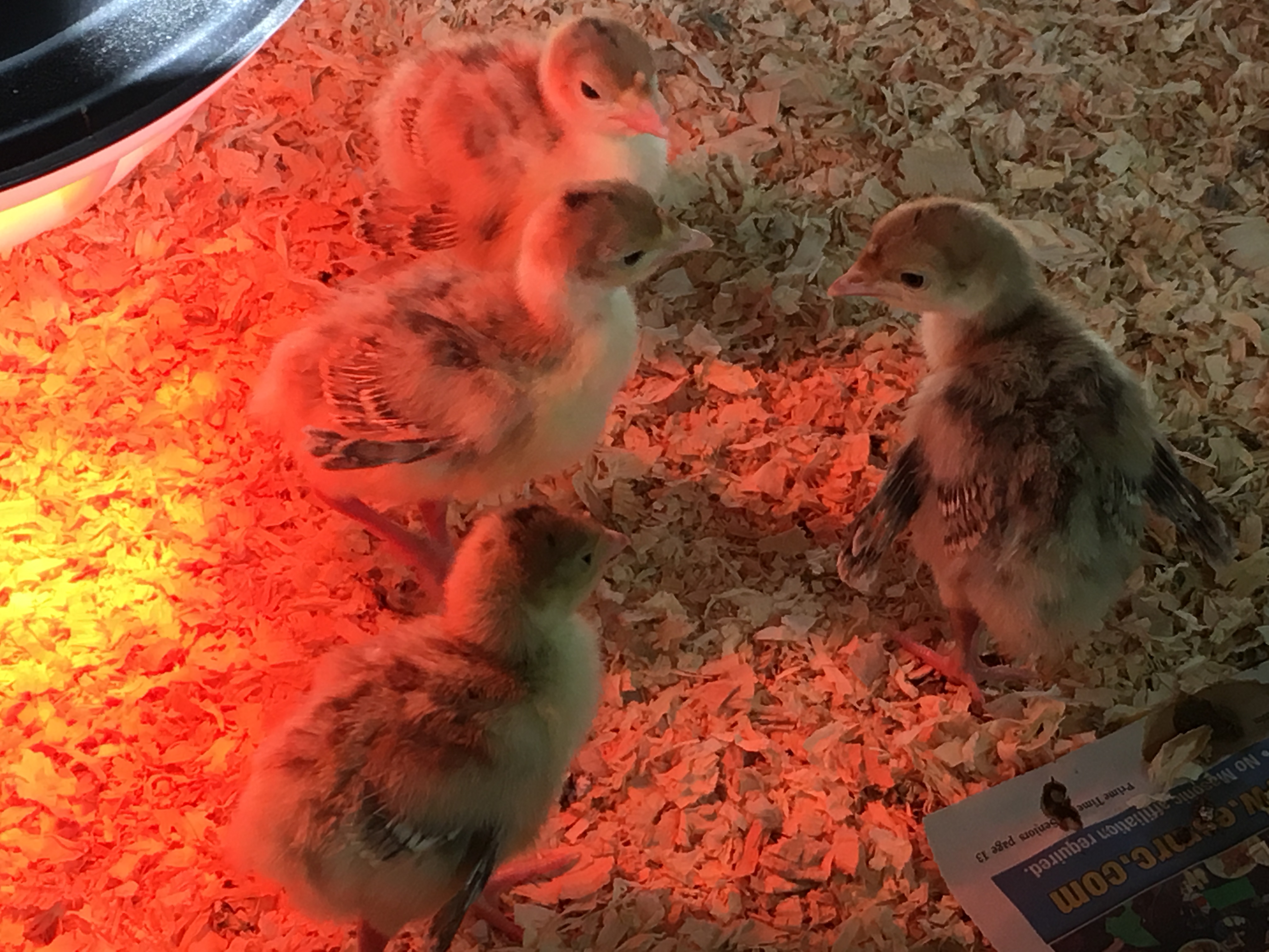 2F8D2AAC-DB18-4B82-93A8-C5C1F385E08E