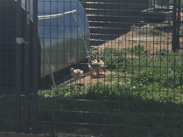 37C9816A-02AD-4C08-AF72-044D2B7D6A1B