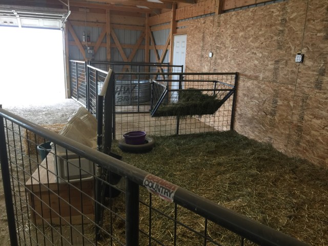 3AB44504-BB40-4DE6-A0D6-66AF700F6A0D