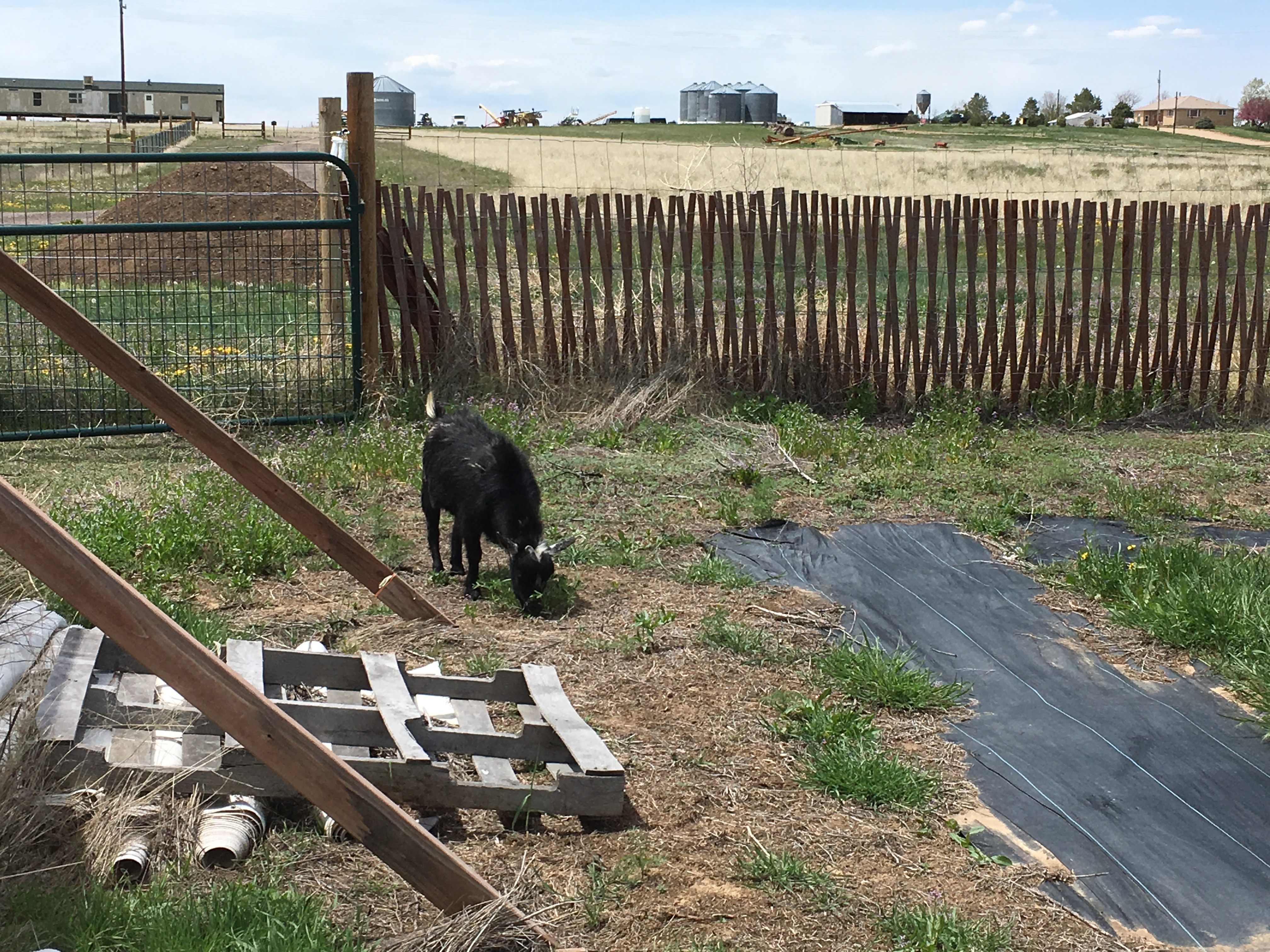 446CEF20-A82D-4EBC-8A01-2FE5ABFF84B0