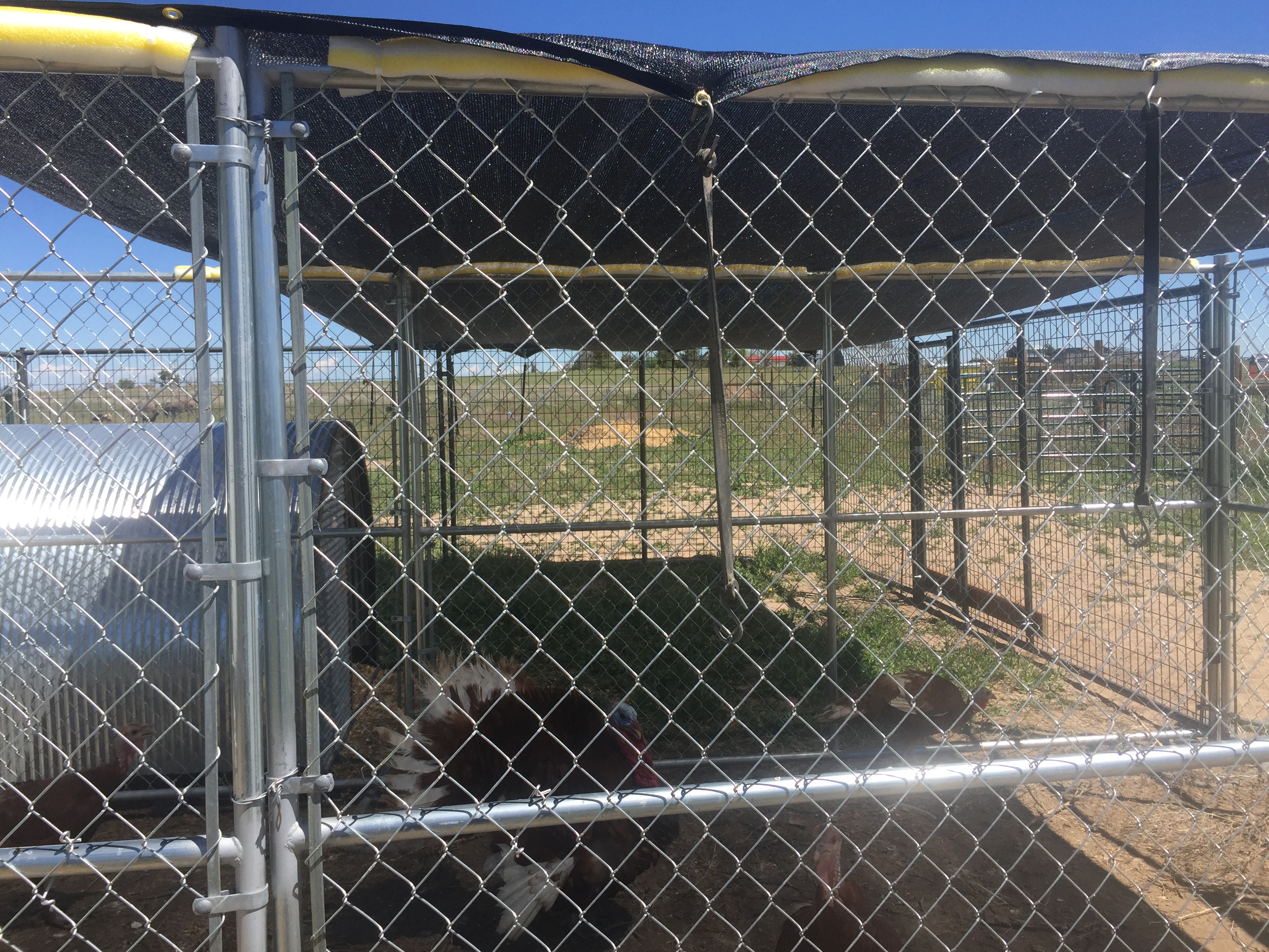 447D00FF-EF1E-46A3-99C0-00C2015F5F4F