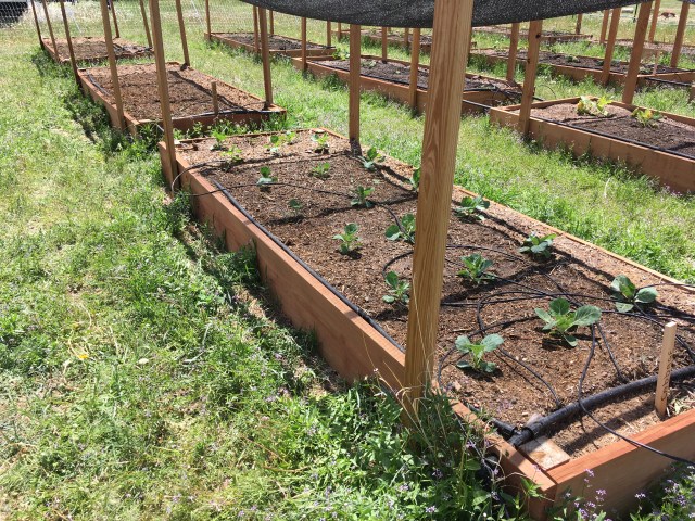 4805968F-A80F-4BDE-B9AE-6180EF014C15