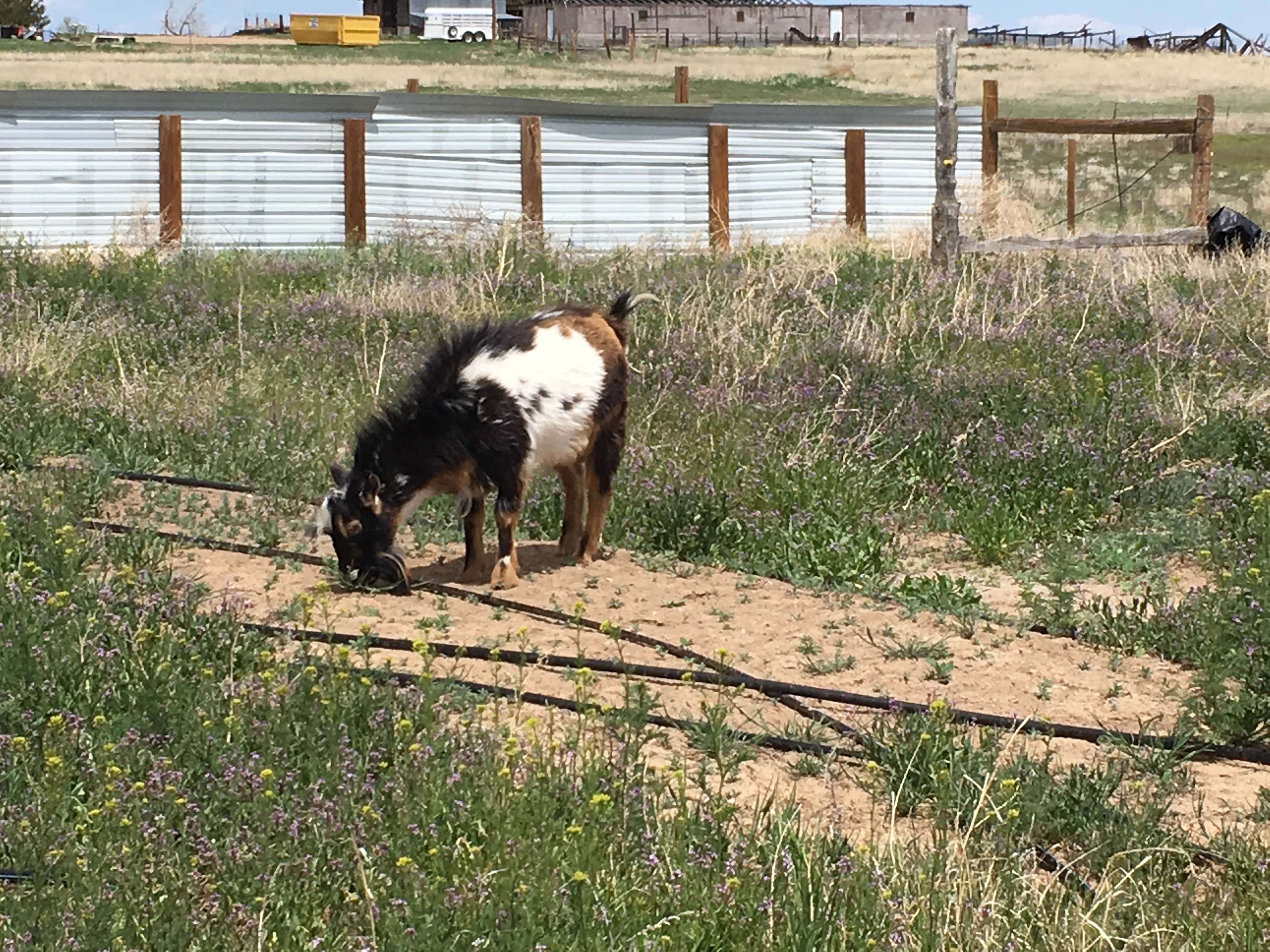 4DAEC0E9-CB39-4274-B6CA-A63C1765A33C