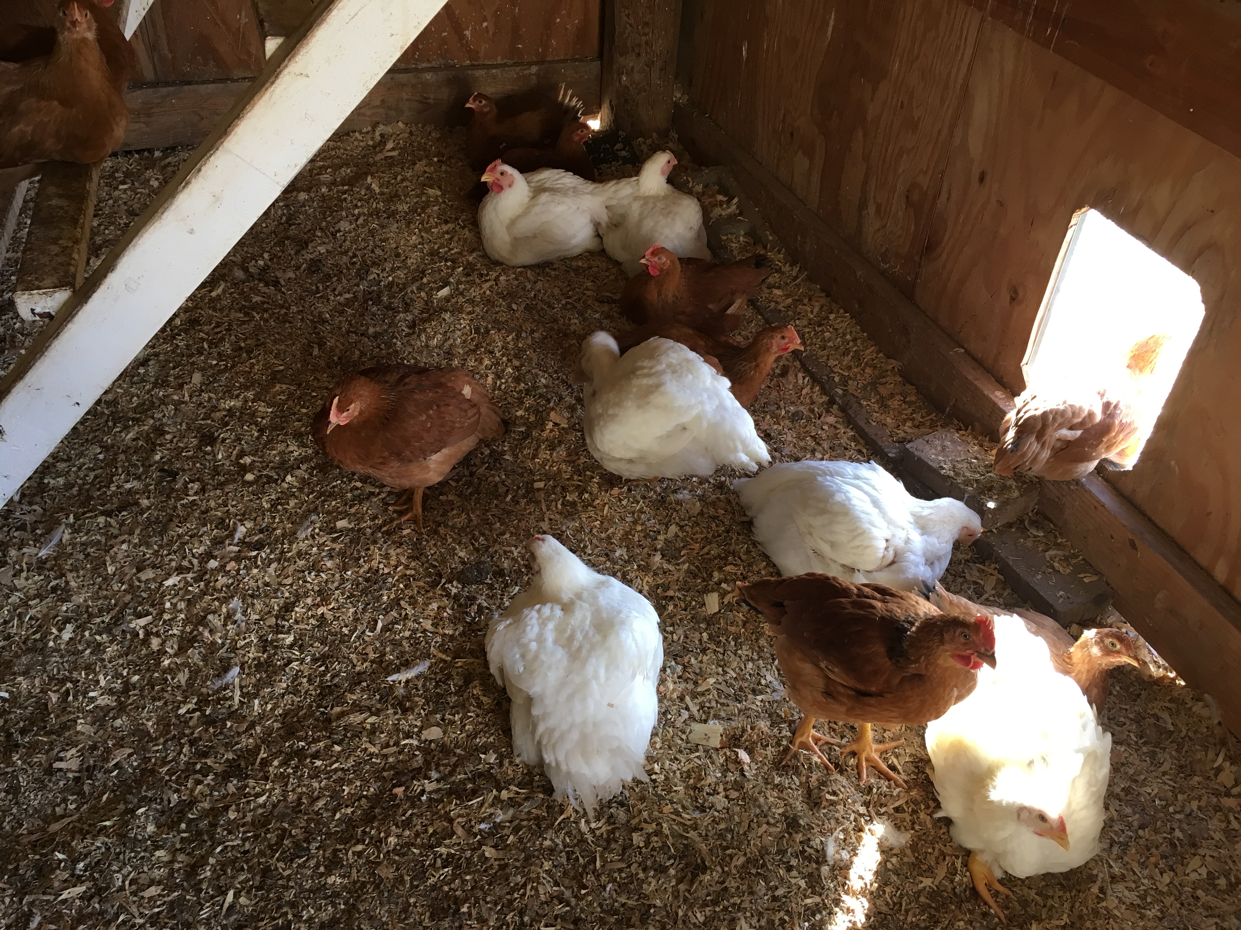 5F7C04D4-BE50-4236-BA52-6EA7761E71E5