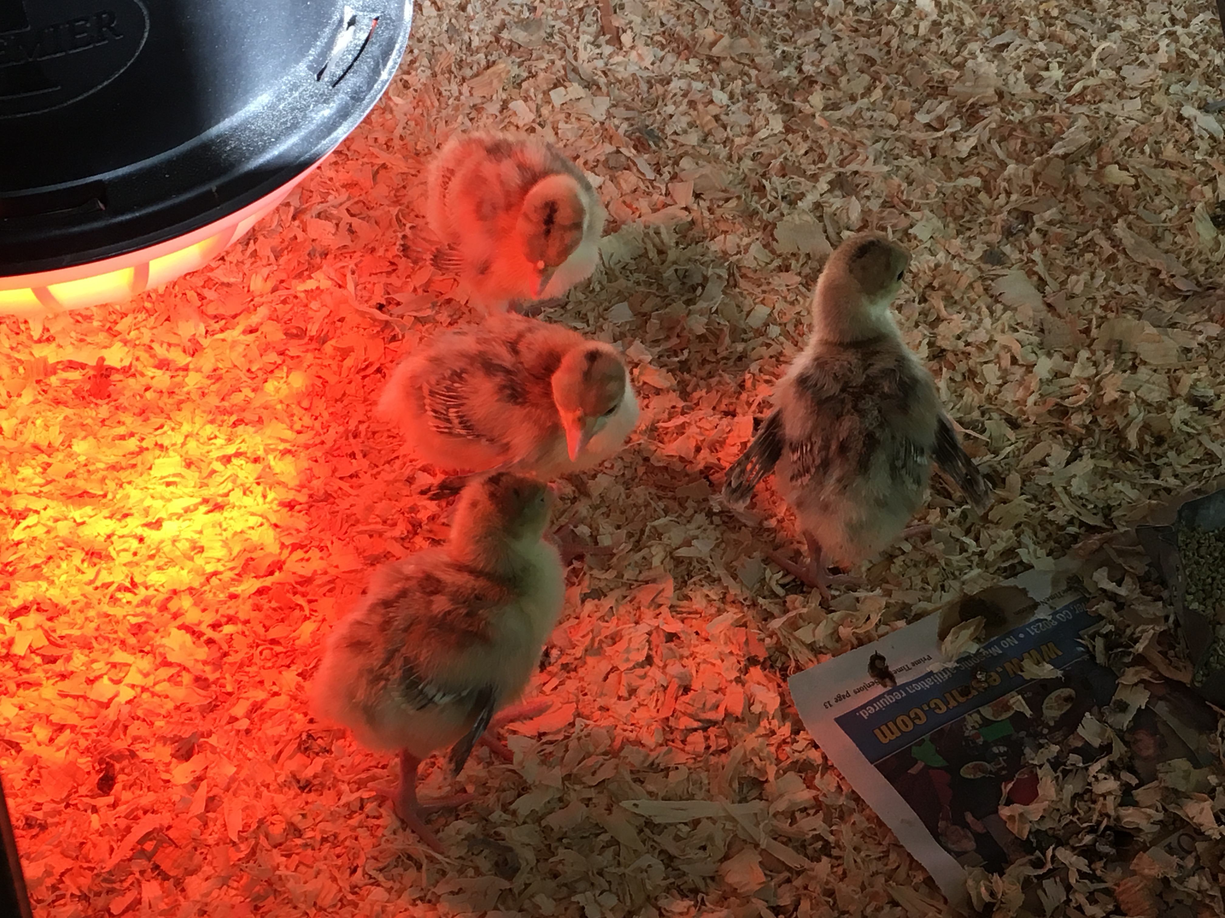 6D753C4A-2921-4E74-AE7F-6CCD3AD04E3B