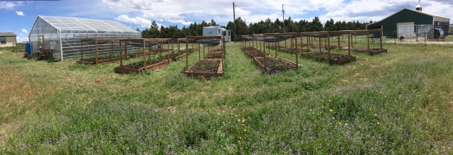 8175BF8B-E242-4A59-A4E6-7E44D4ACA4E2