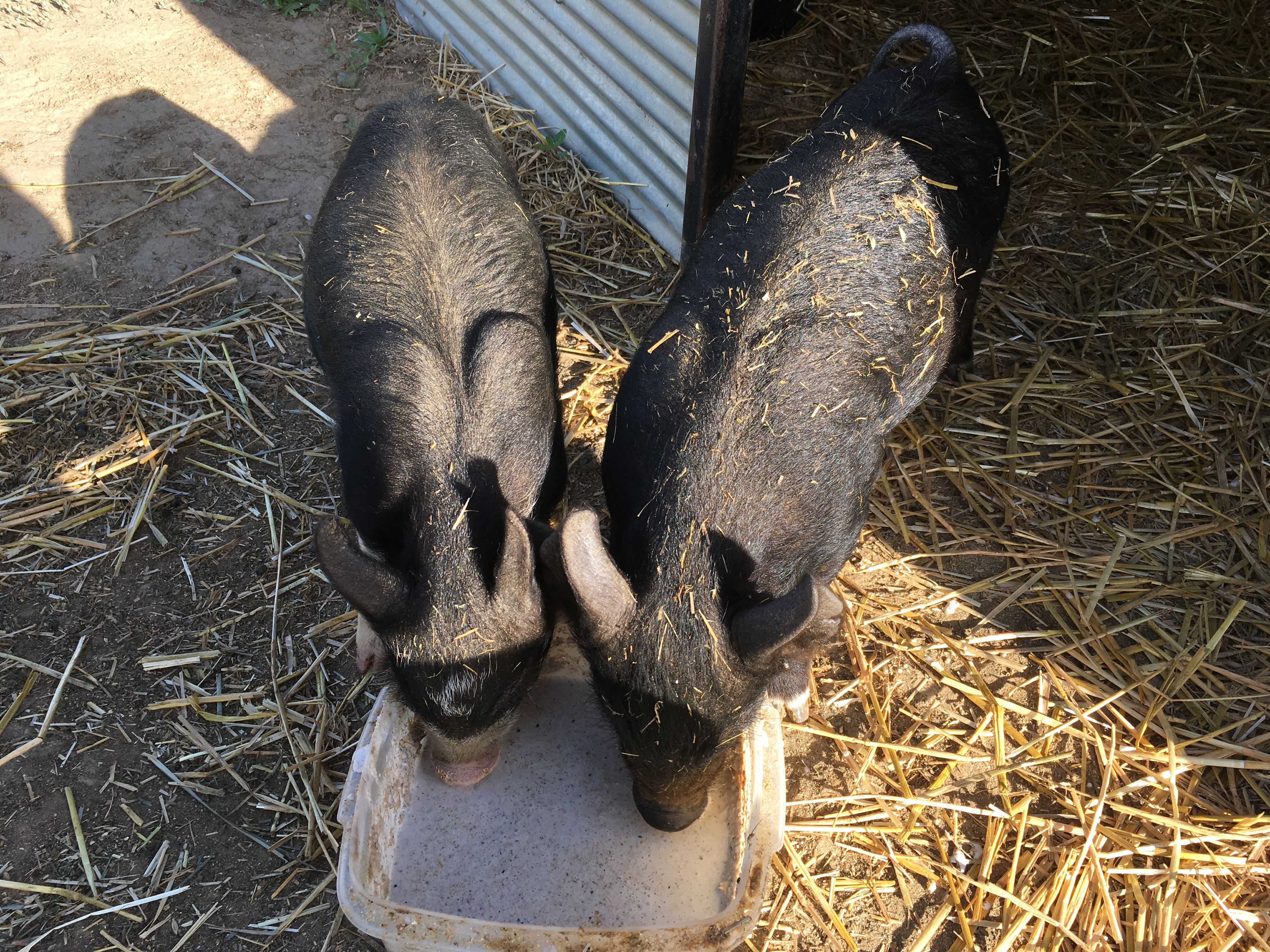 87238571-5A03-44DF-BF9F-0B710C8CE26E