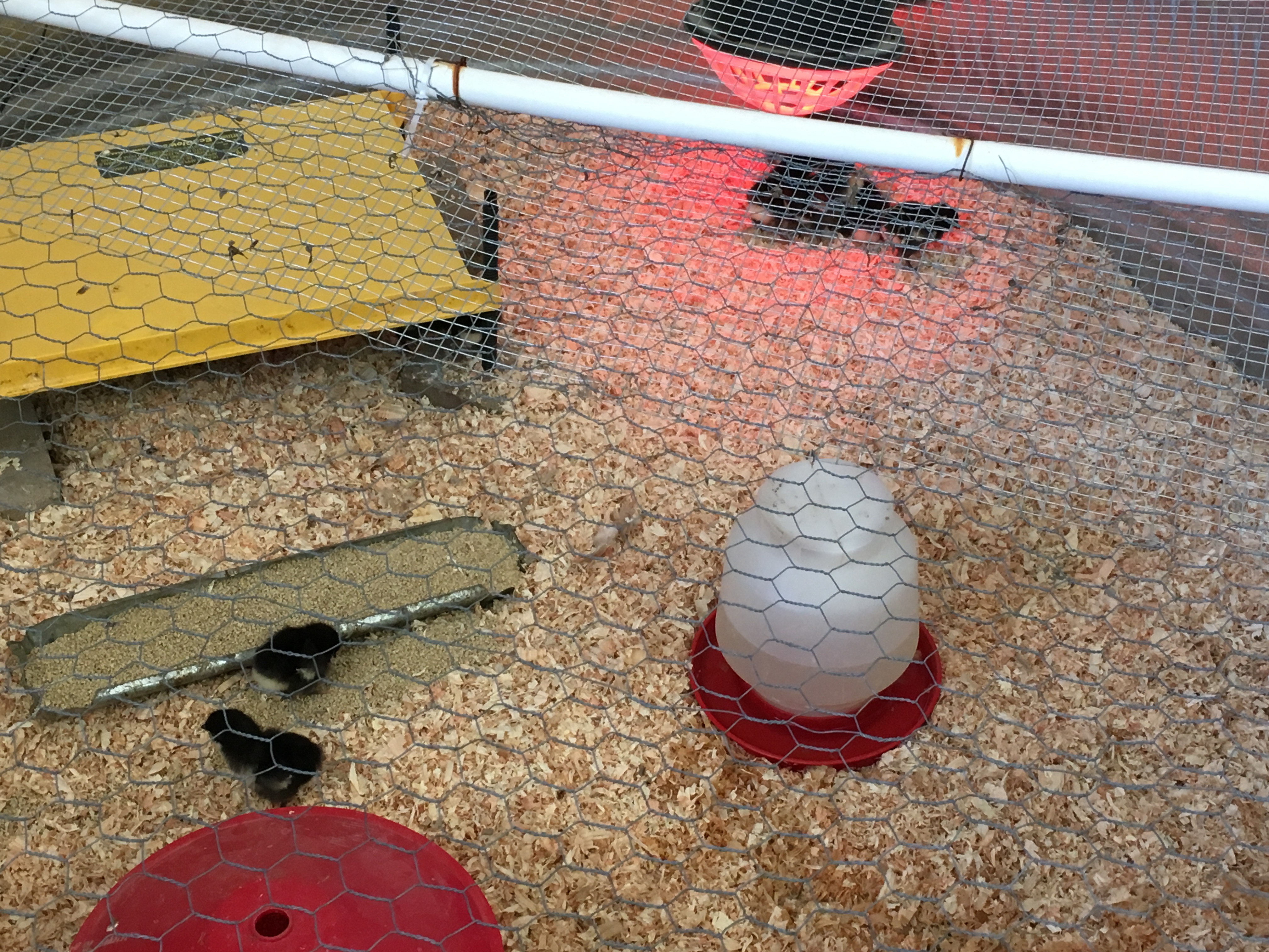 945A98EE-D920-49EF-996D-ED4DF7EC6430