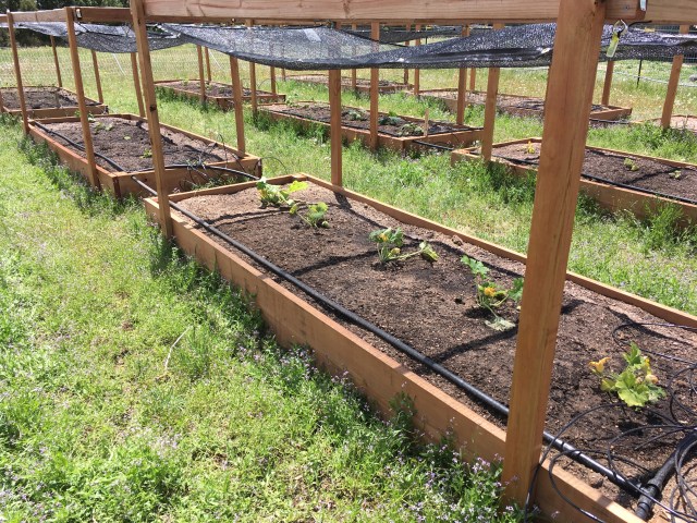 B63C3AD7-1819-40D8-8F12-E68B85B66E8E