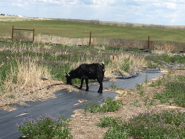 BC1ADBC7-D0B4-48B3-AFA6-C3DF4C571B36