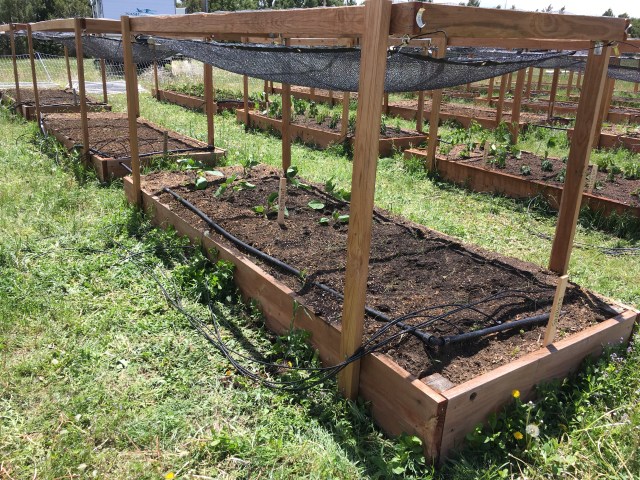 CA720A7E-F0AA-4C20-A617-7E7AE16215B9