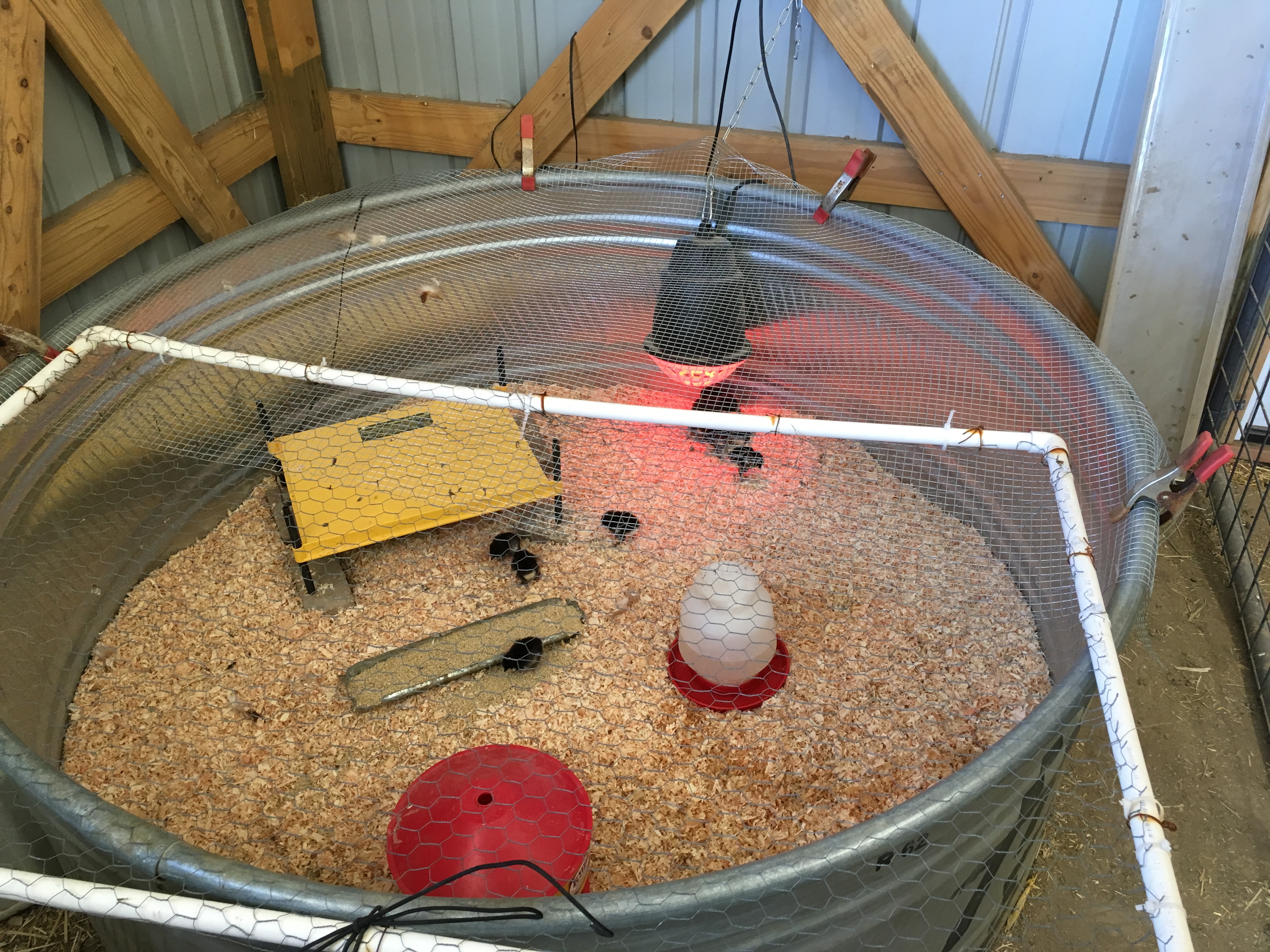 D5685834-E90F-445F-9110-6C1D7E146C76