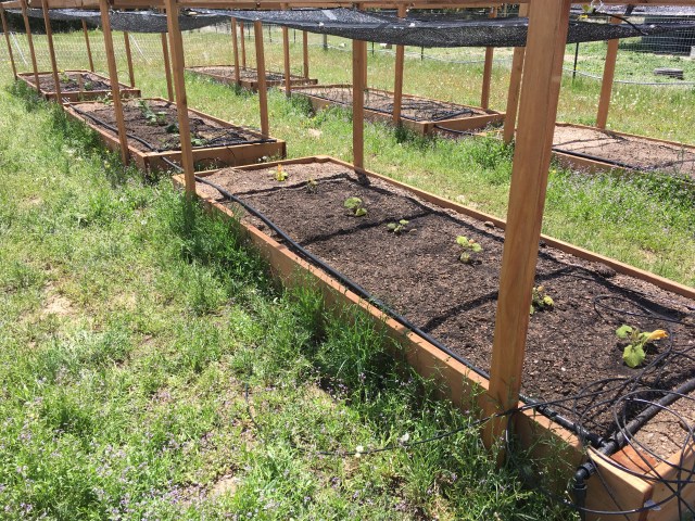 F5D45B1B-7187-4EEE-AD34-5E239E35D26C