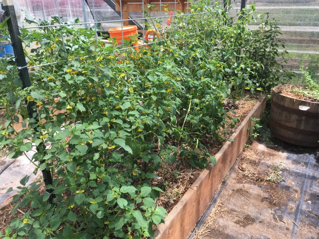 020BE9A6-A116-425A-B118-6FBD0BB111DF