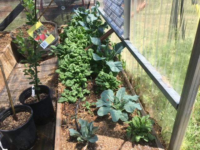 0286467C-98F8-4882-B994-4C616416E84A