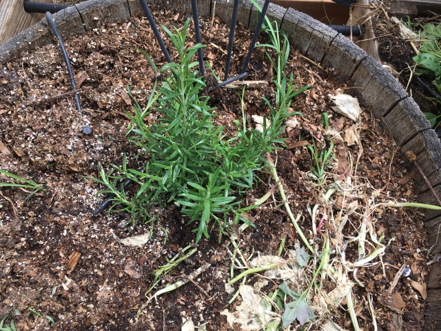 54DF0319-2698-4B88-B1FD-E6C3DC8EB06F