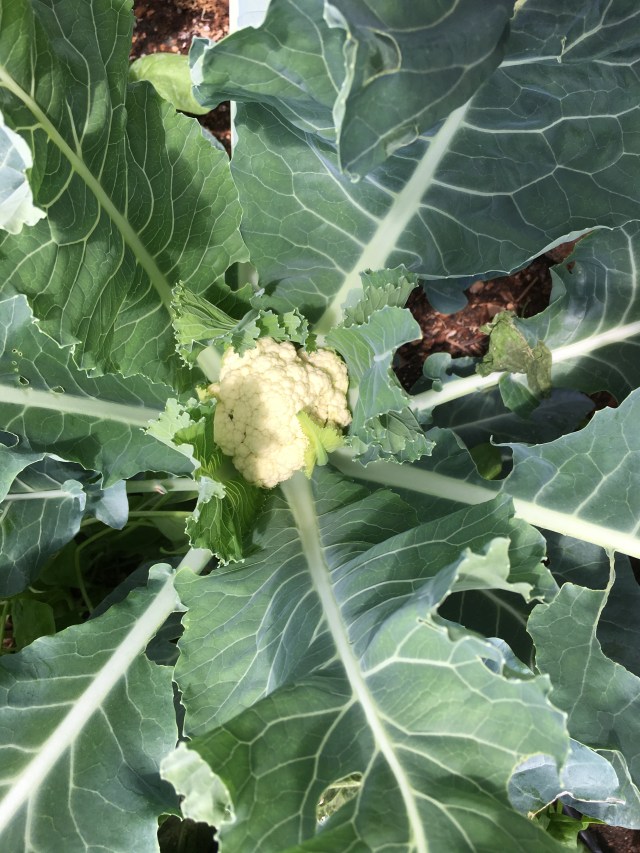 5E2A2F5D-4D0F-4D22-8185-6DA5B2DFB8A9