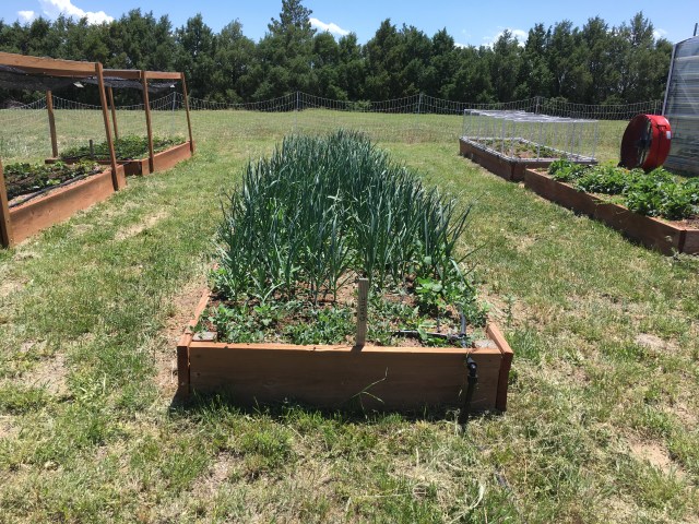 7C9C71FD-CE8C-46A6-B00C-A32FDE728548