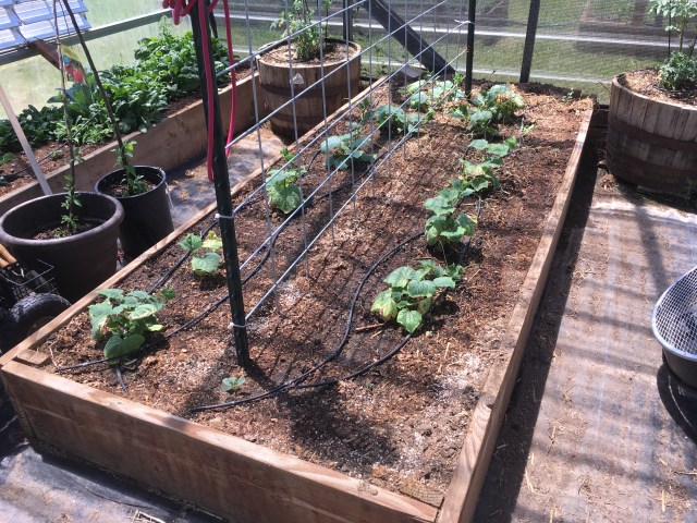 874E2FC8-CE47-4471-8DFA-C8A3808C8D5B