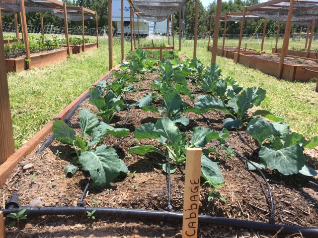 8FBF834A-93AC-4E27-A6B8-5FF41350DCF3