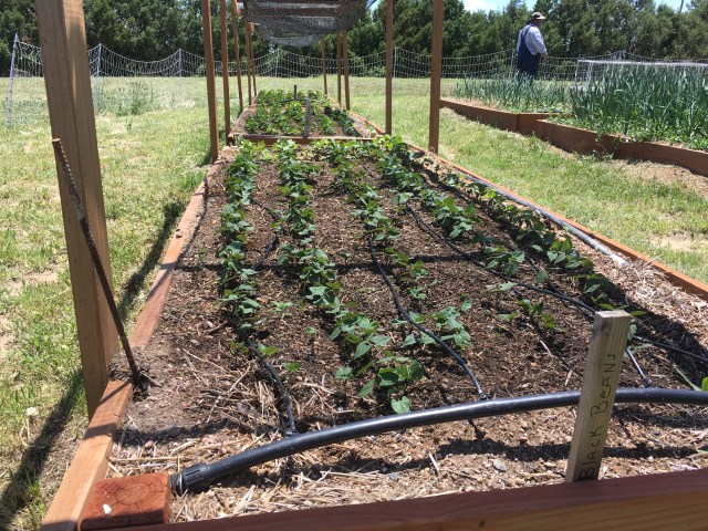 98F71FF0-3ECA-4F0C-8475-80FB2A0E83C7