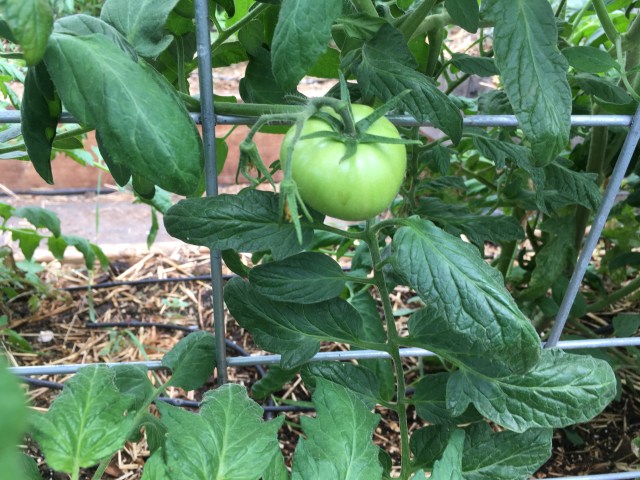 BB8536DD-7832-487D-A705-160CF54C6AA2