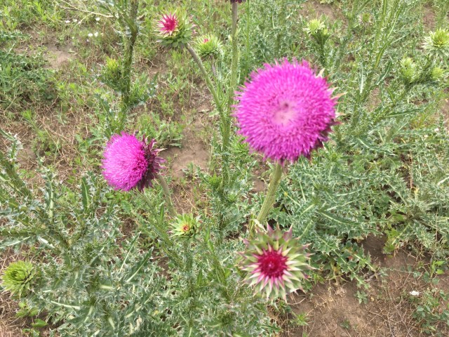 C6D2941C-5A96-4E46-AB3E-75CB13BF4D30